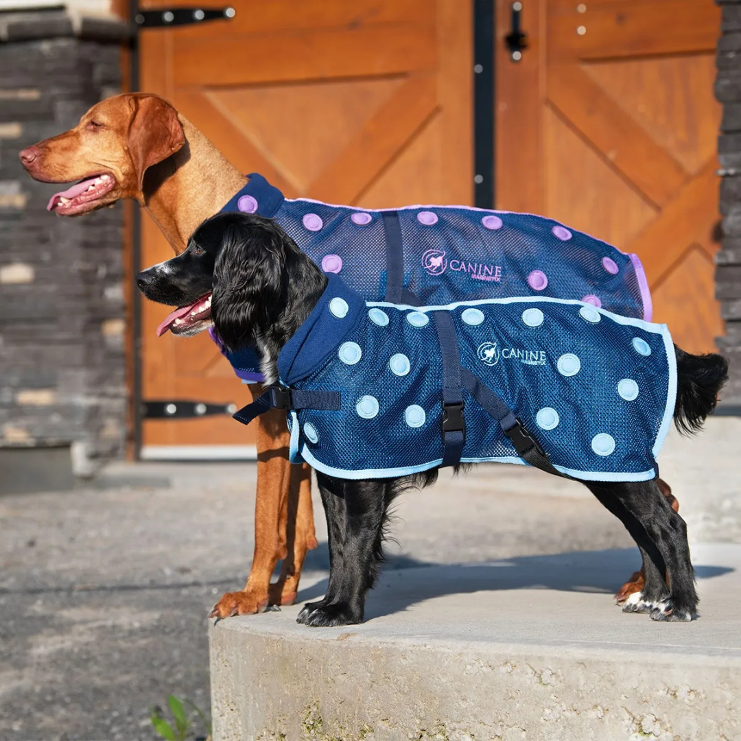 Magnetic Dog Coat - Blue